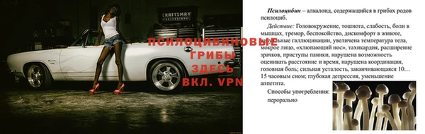 первитин Рославль