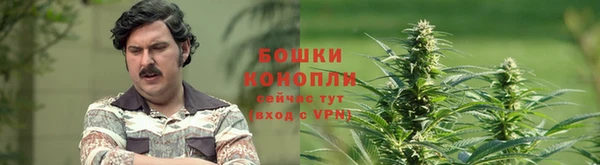 твердый Ростов