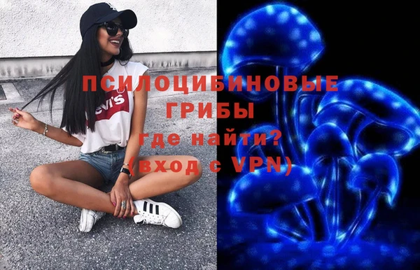 твердый Ростов
