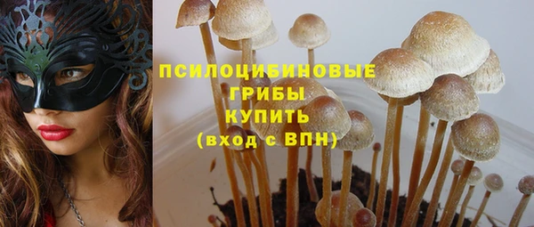 твердый Ростов