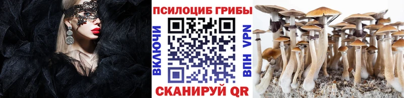 blacksprut рабочий сайт Старый Крым Галлюциногенные грибы Cubensis